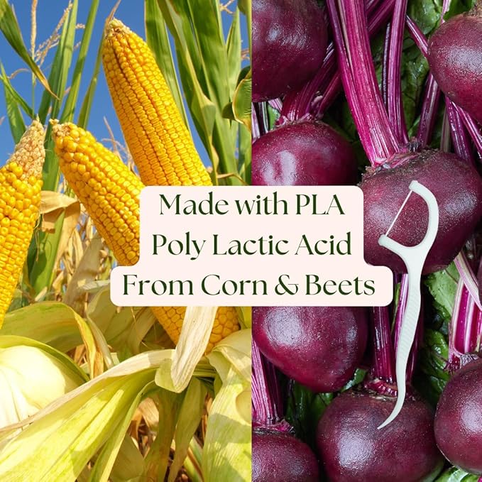 Floss Picks - Charcoal Lemon, 50pcs/6pk - The Future Is Bamboo