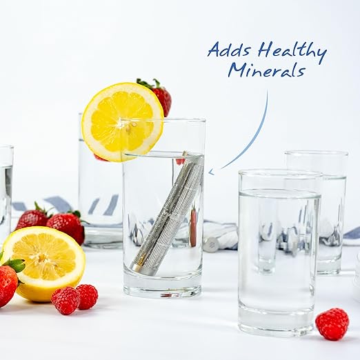 Filtre pour bouteille d'eau, 6/pqt - Santevia Systems