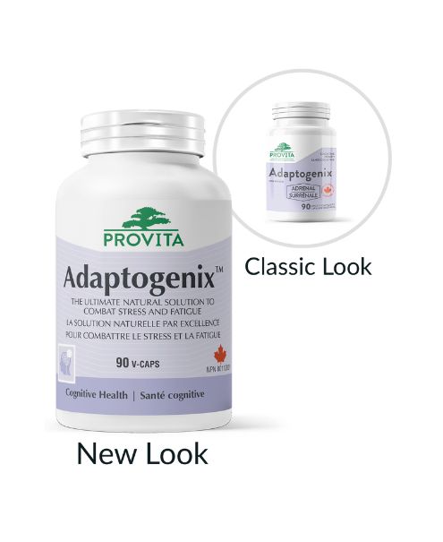 Adaptogenix, 90 vcaps - Provita