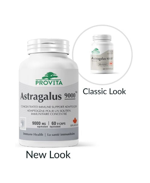 Astragalus 9000, 60 caps - Provita
