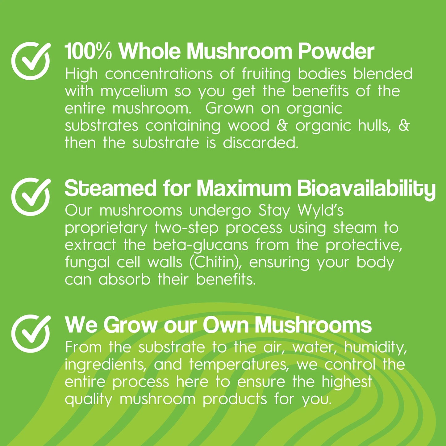 5-Mushroom Blend, 90 caps - Stay Wyld Organics Ltd