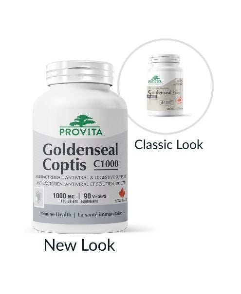 Hydraste Coptis C1000 90 gélules - Provita