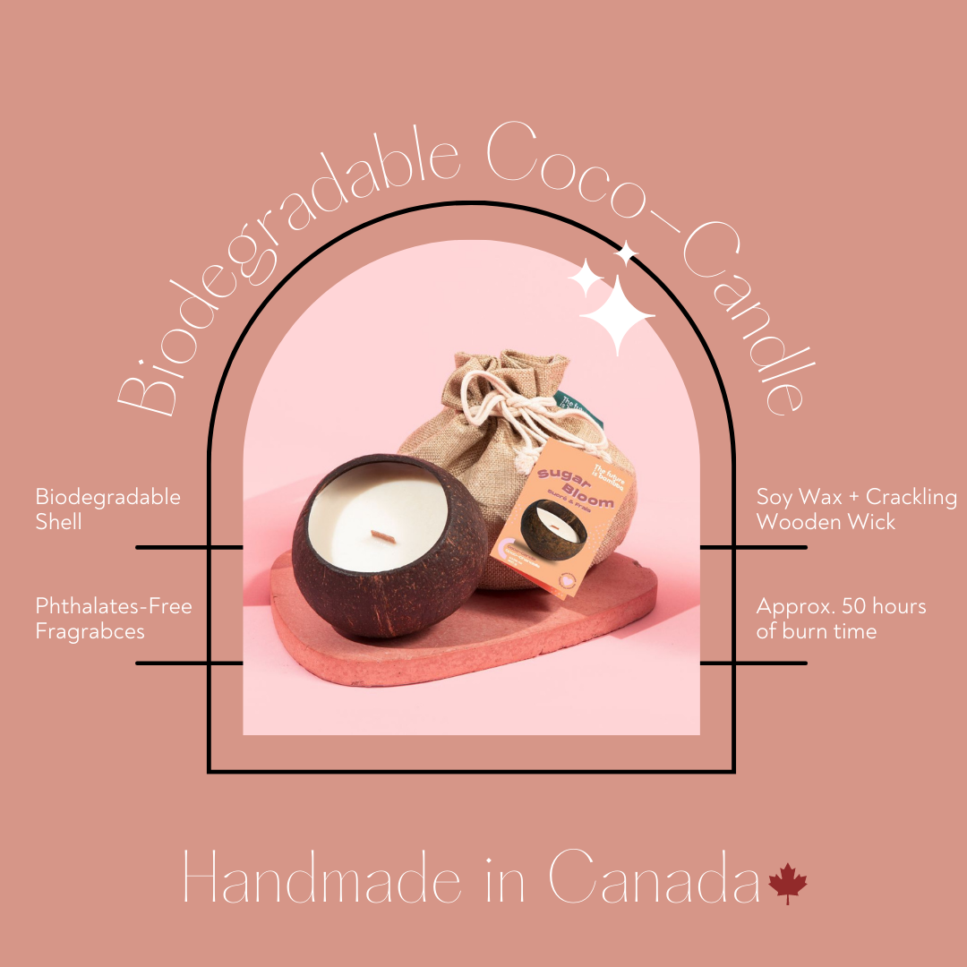 Sugar Bloom Coco Candle - The Future Is Bamboo