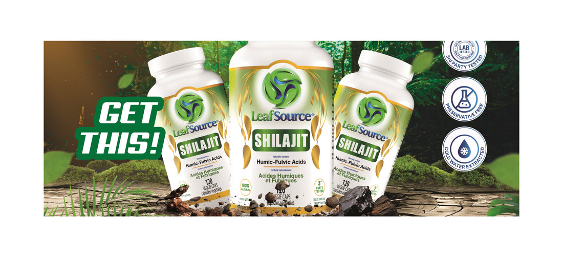 Berberine, Ceylon Cinnamon & Shilajit: The Power Trio