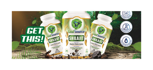 Berberine, Ceylon Cinnamon & Shilajit: The Power Trio