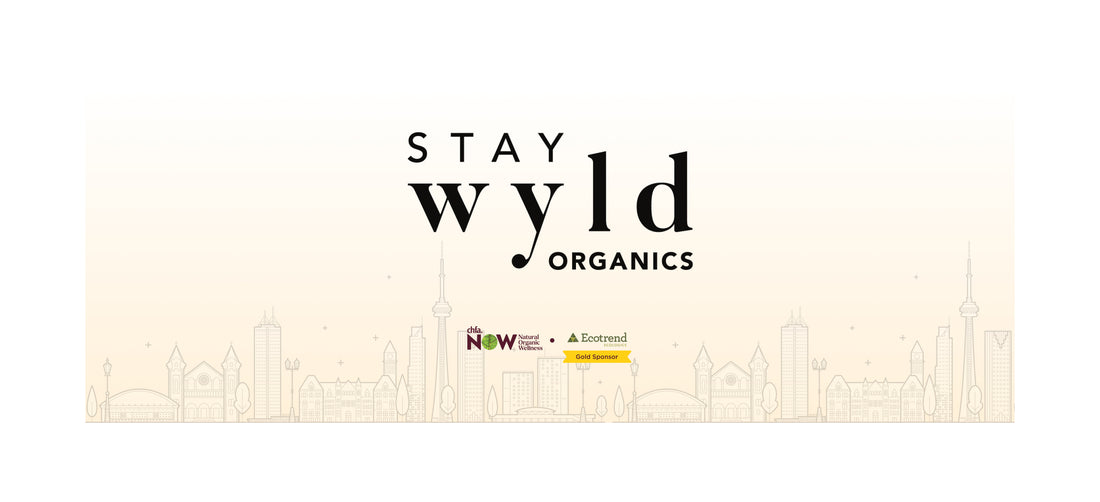 Stay Wyld – Functional Mushrooms for Everyday Living