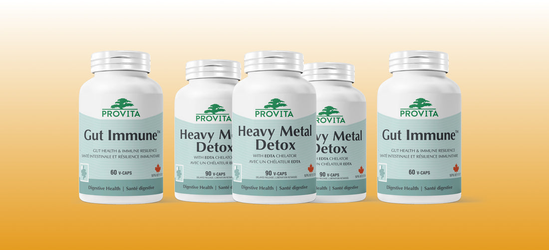 Introducing Our Latest Innovations in Digestive Health