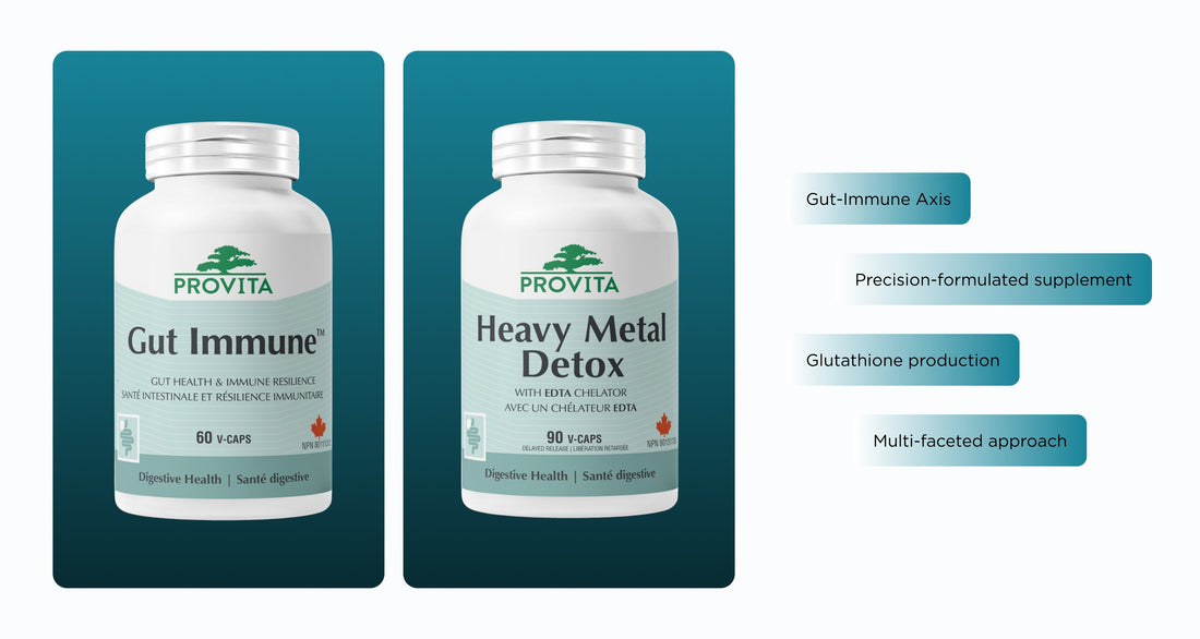 Spotlight on Innovation: Provita's Gut Immune & Heavy Metal Detox – Ecotrend Ecologics