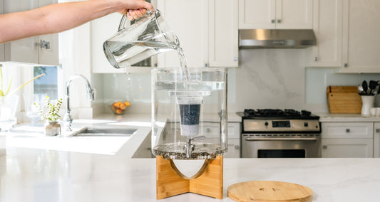 Pure Partnerships: How Santevia & Ecotrend Are Bringing Healthy Water to More Homes