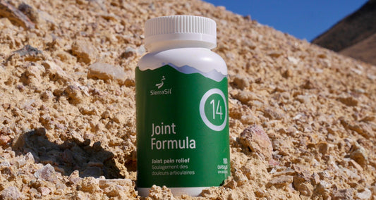 SierraSil & Ecotrend: Natural Mobility, Trusted Distribution