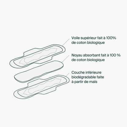 Diagram of a sanitary pad with biological cotton layers and biodegradable maize layer on a white background.