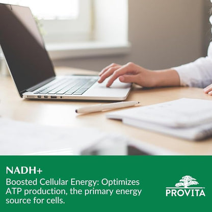 NADH+ 30 gélules végétales - Provita