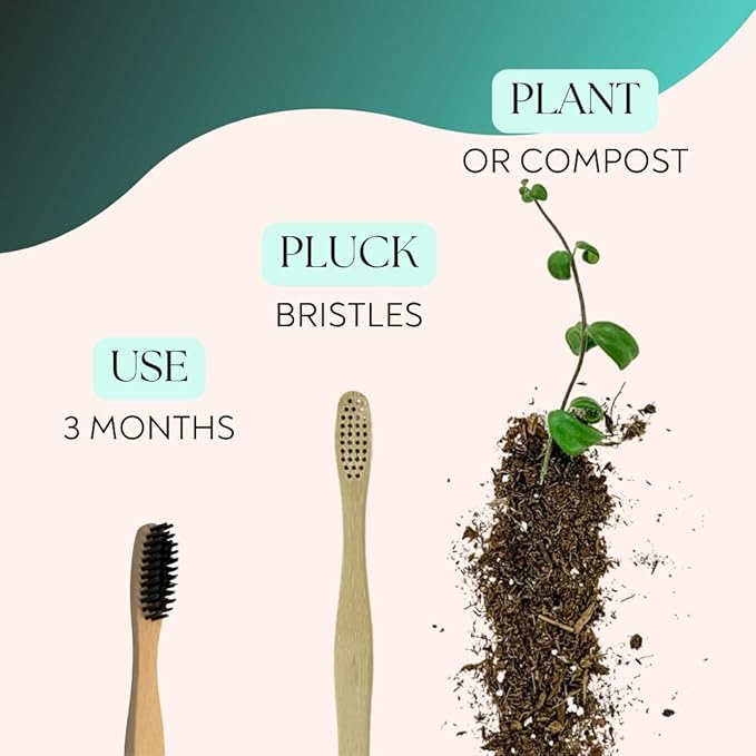 Charcoal 12/Box - The Future Is Bamboo