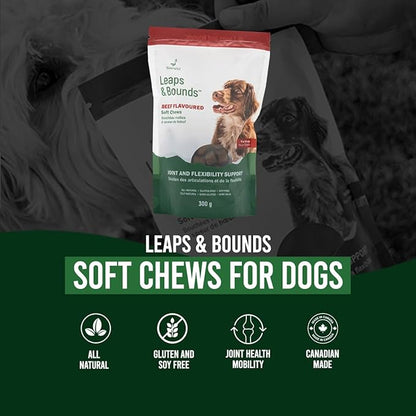 Leaps & Bounds Beef 100 Bites - Sierrasil