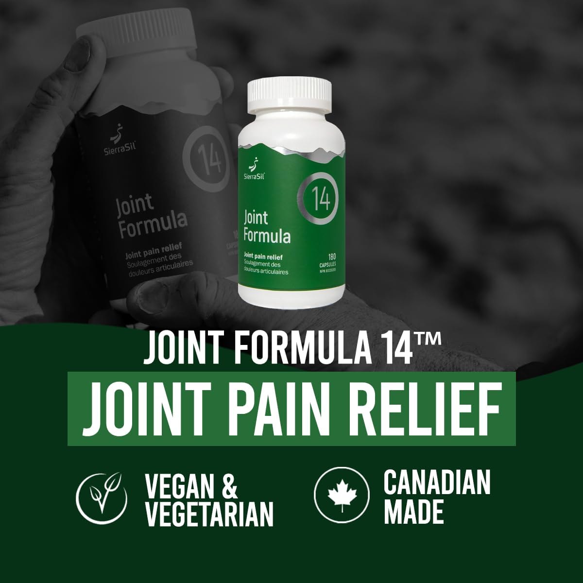 Joint Formula14 Capsules, 51's - Sierrasil