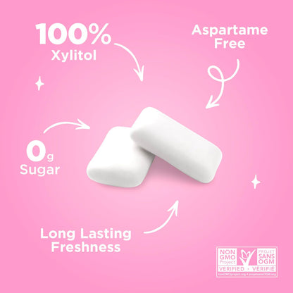 Gum Bag - Bubblegum, 55ct, 12/tray - The Pur Company