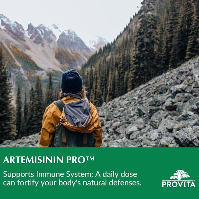 Artémisinine Forte 60 gélules - Provita