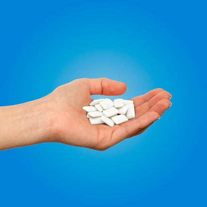Gum Bags - Peppermint, 55ct, 12/tray - The Pur Company