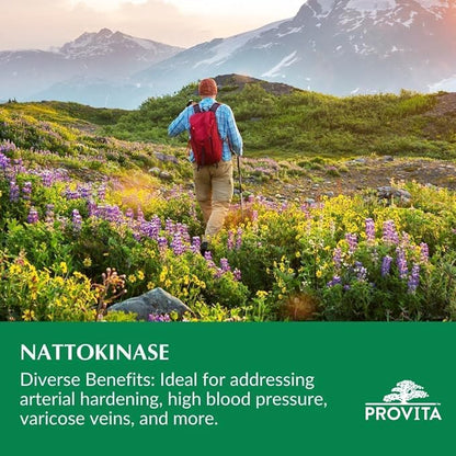 Nattokinase 2000FU, 120 gélules - Provita
