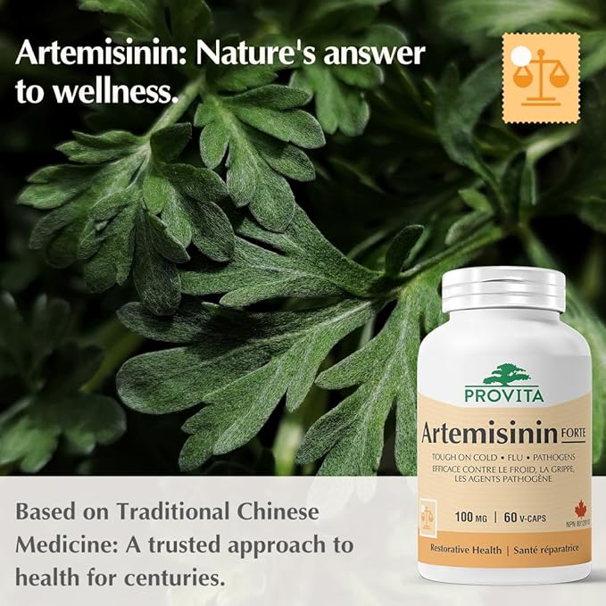 Artémisinine Forte 60 gélules - Provita