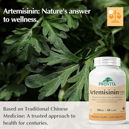 Artémisinine Forte 60 gélules - Provita