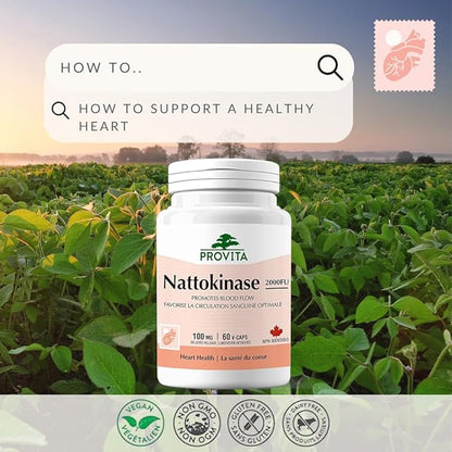 Nattokinase 2000FU, 120 gélules - Provita