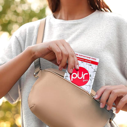 Gum Bag - Cinnamon, 55ct, 12/tray - The Pur Company
