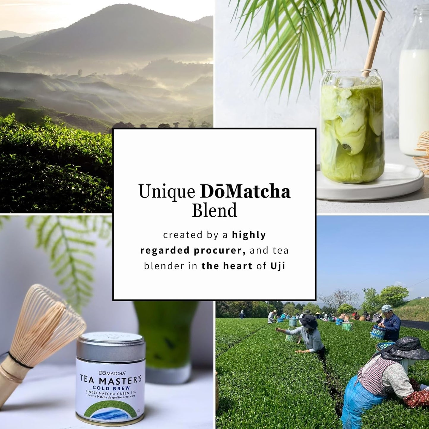 DōMatcha® Cold Brew Matcha, Tin, 30 g