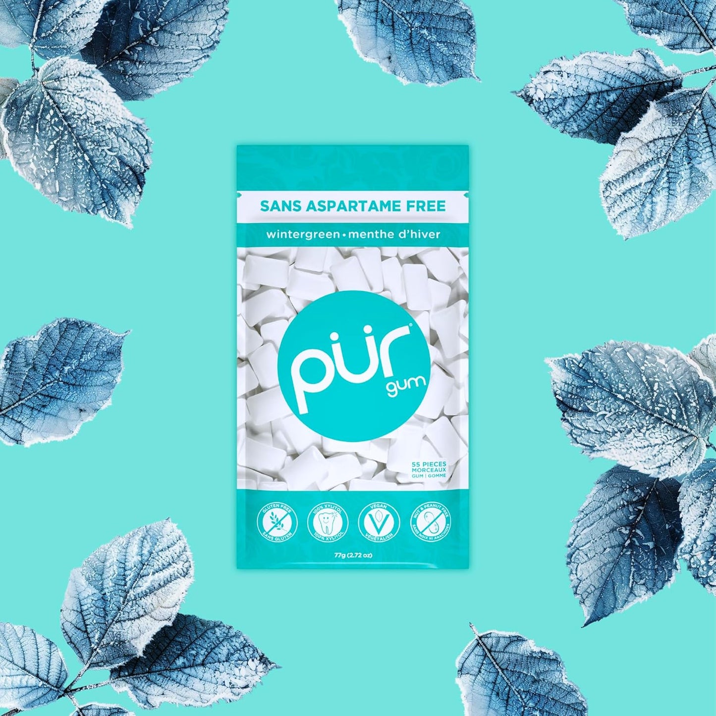 Gum Bag - Wintergreen, 55ct, 12/tray - The Pur Company