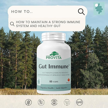 Gut Immune, 60 vcaps - Provita