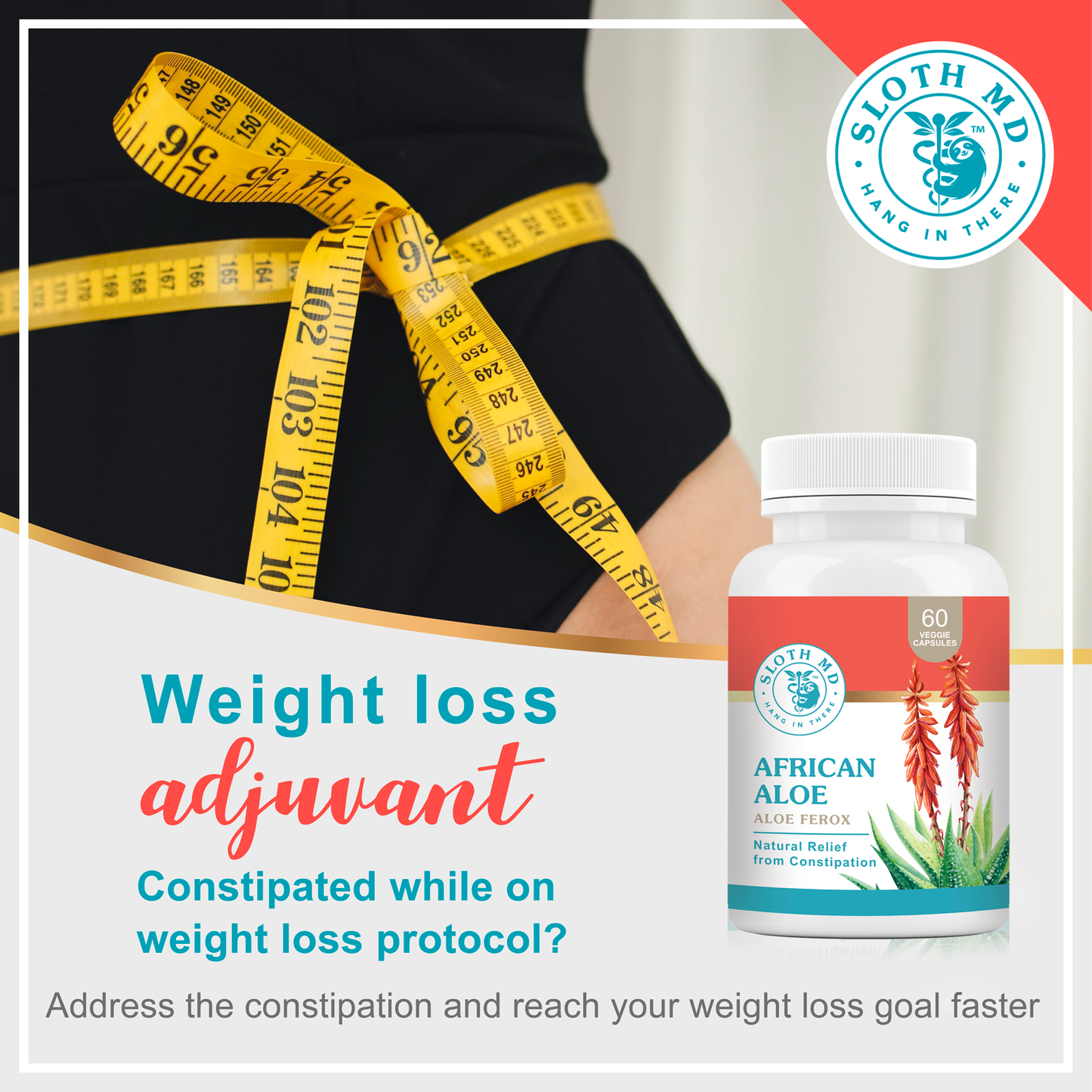 African Aloe, 60 Vcaps - Sloth Medical