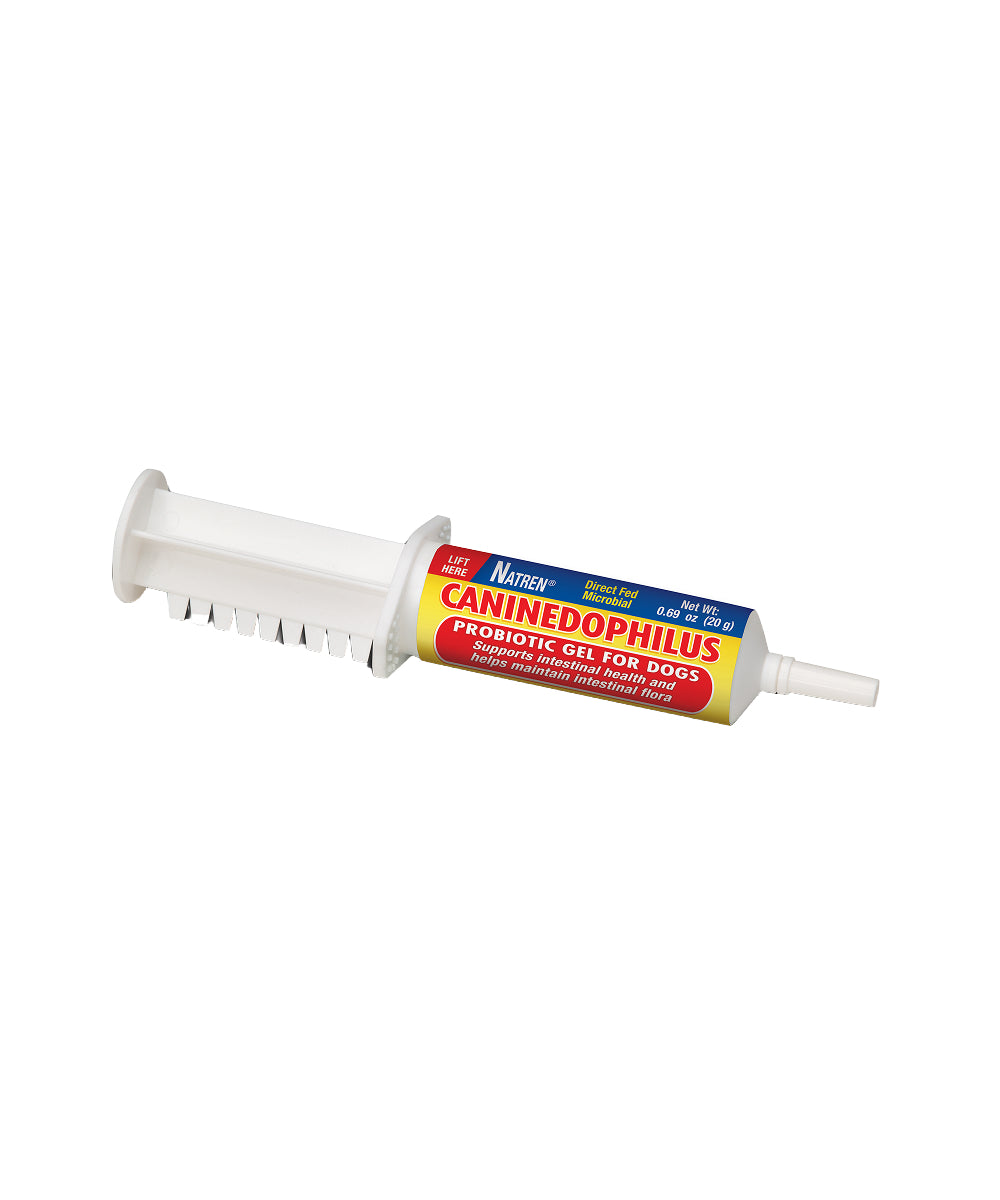 Caninedophilus For Dogs, 20ml - Natren