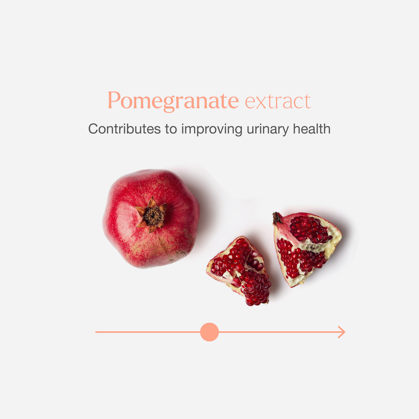 UrinVita, 60s - Vitae