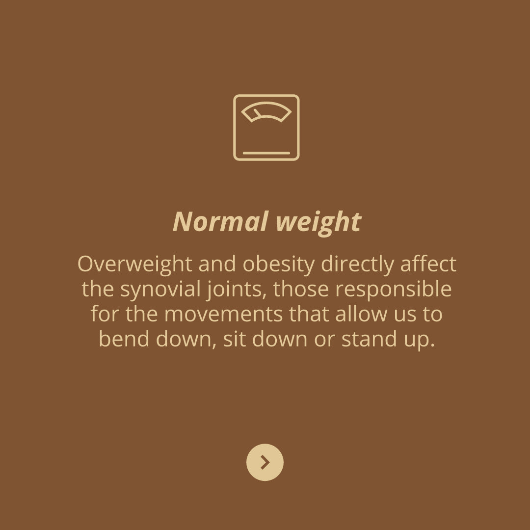 FlexiVita Pro, 60s - Vitae