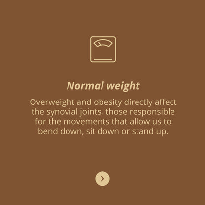 FlexiVita Pro, 60s - Vitae