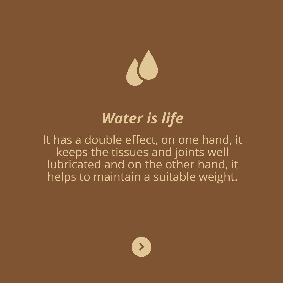 FlexiVita Pro, 60s - Vitae