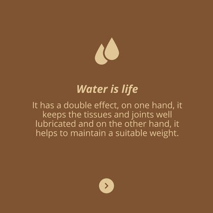 FlexiVita Pro, 60s - Vitae