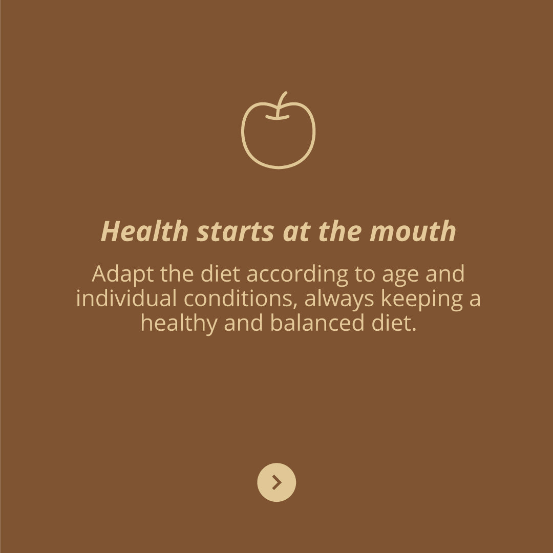 FlexiVita Pro, 60s - Vitae