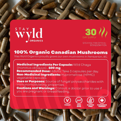 Chaga, 90 caps - Stay Wyld Organics Ltd