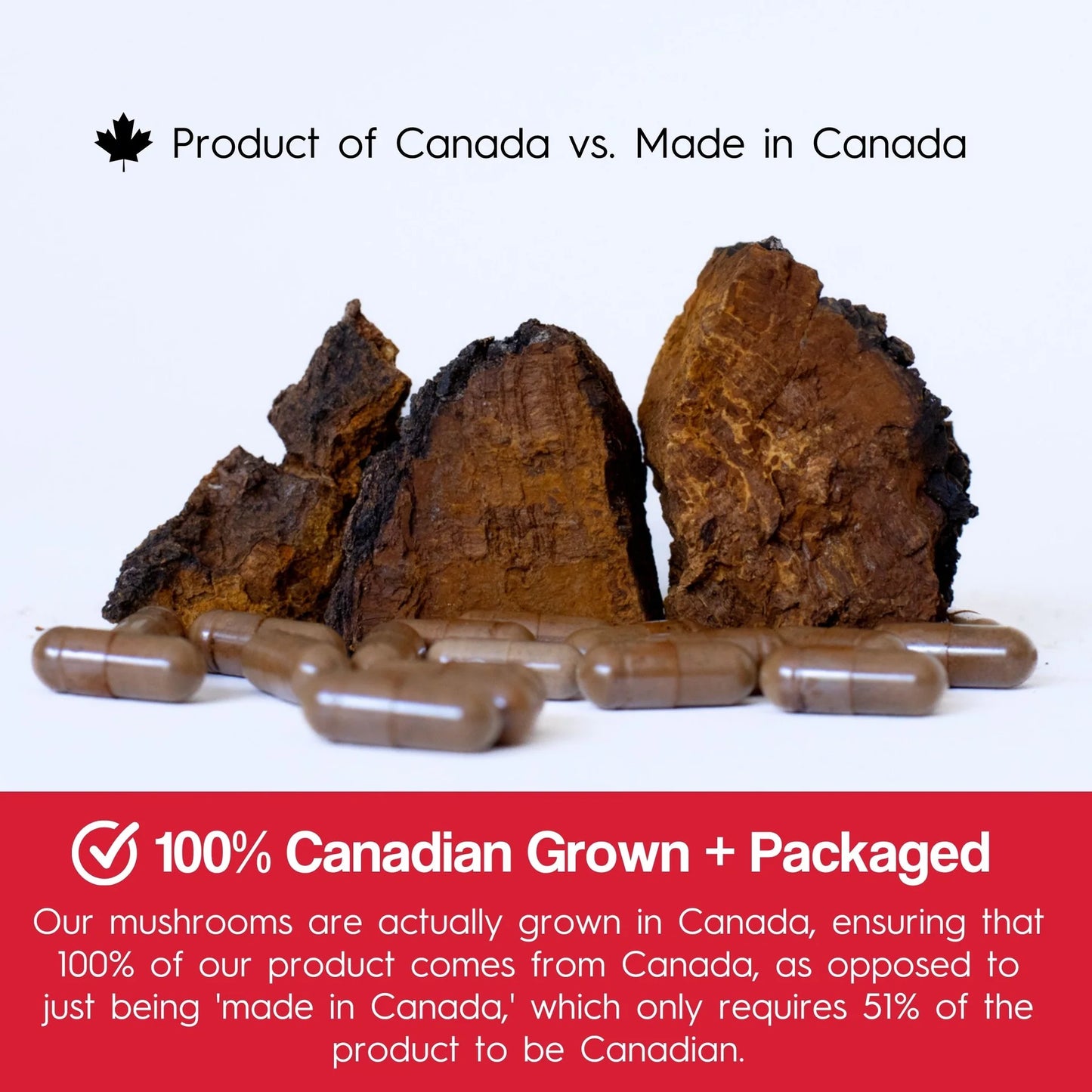 Chaga, 90 caps - Stay Wyld Organics Ltd