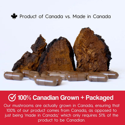 Chaga, 90 caps - Stay Wyld Organics Ltd