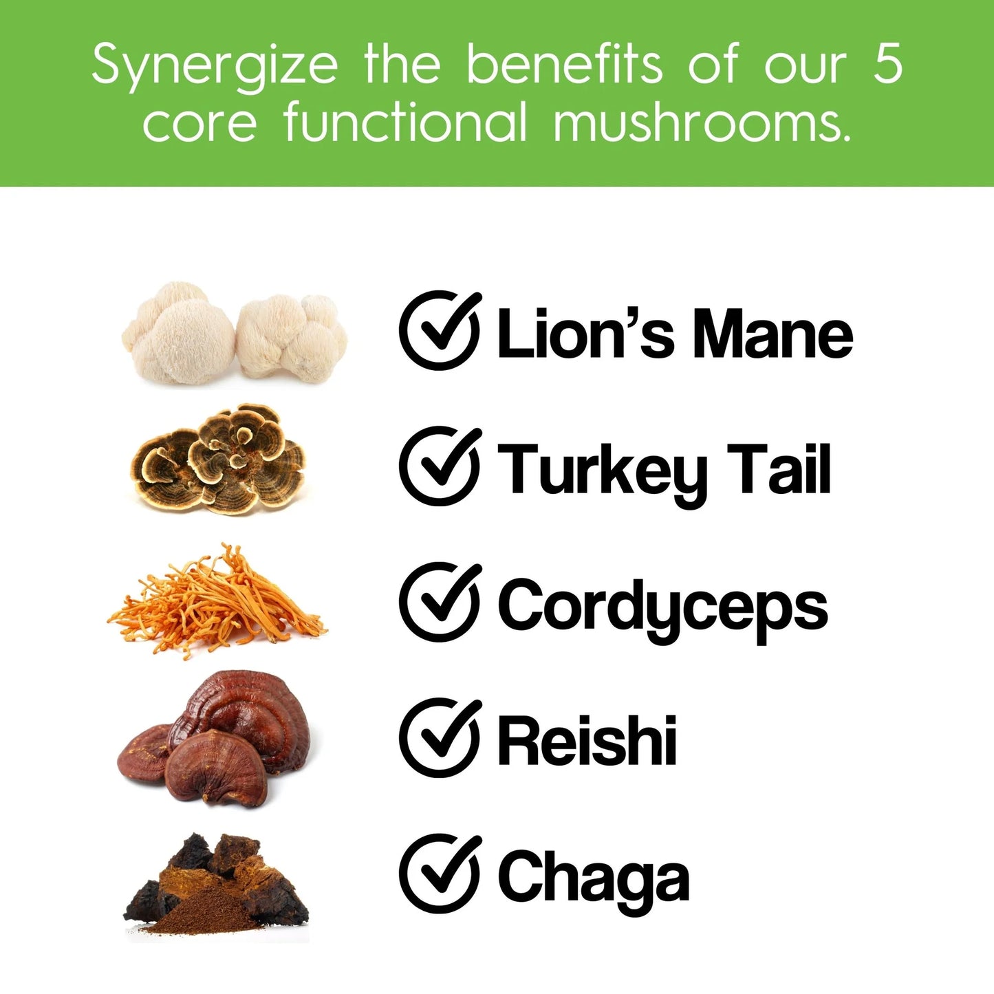 5-Mushroom Blend, 90 caps - Stay Wyld Organics Ltd