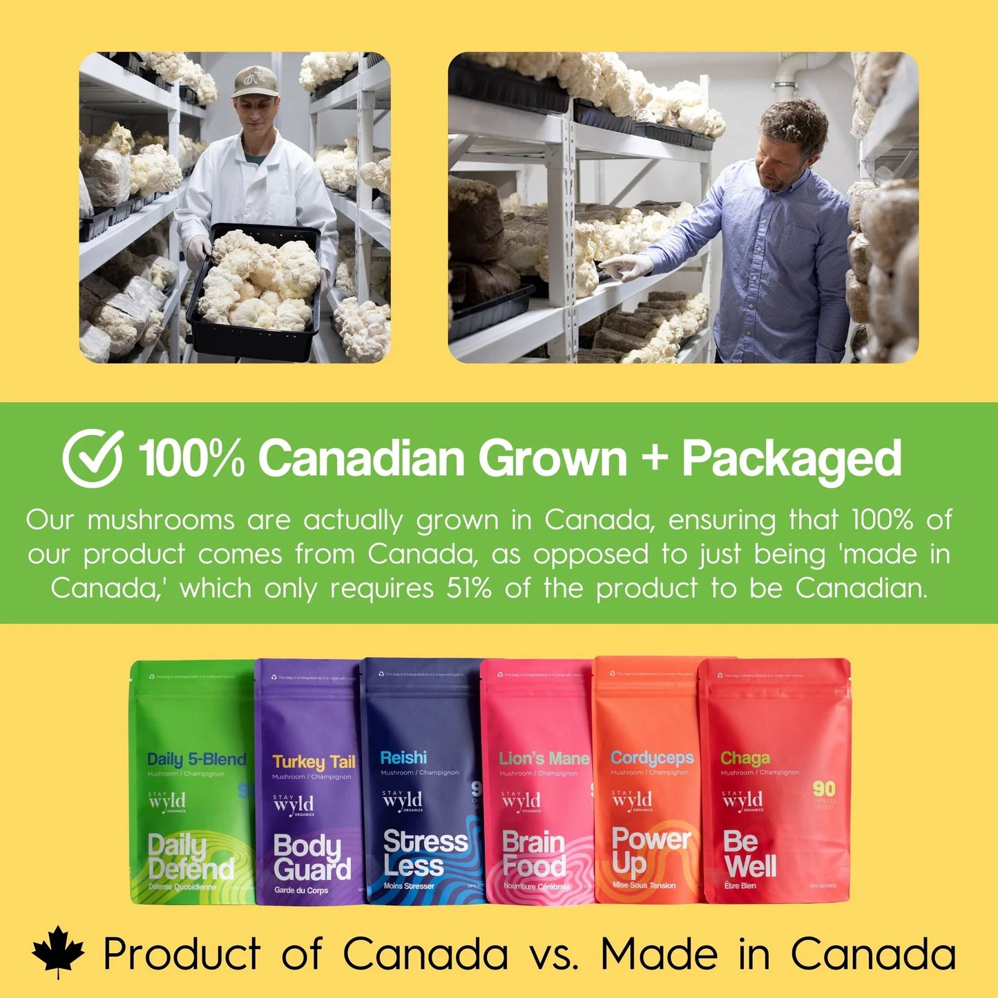 5-Mushroom Blend, 90 caps - Stay Wyld Organics Ltd