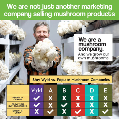 5-Mushroom Blend, 90 caps - Stay Wyld Organics Ltd