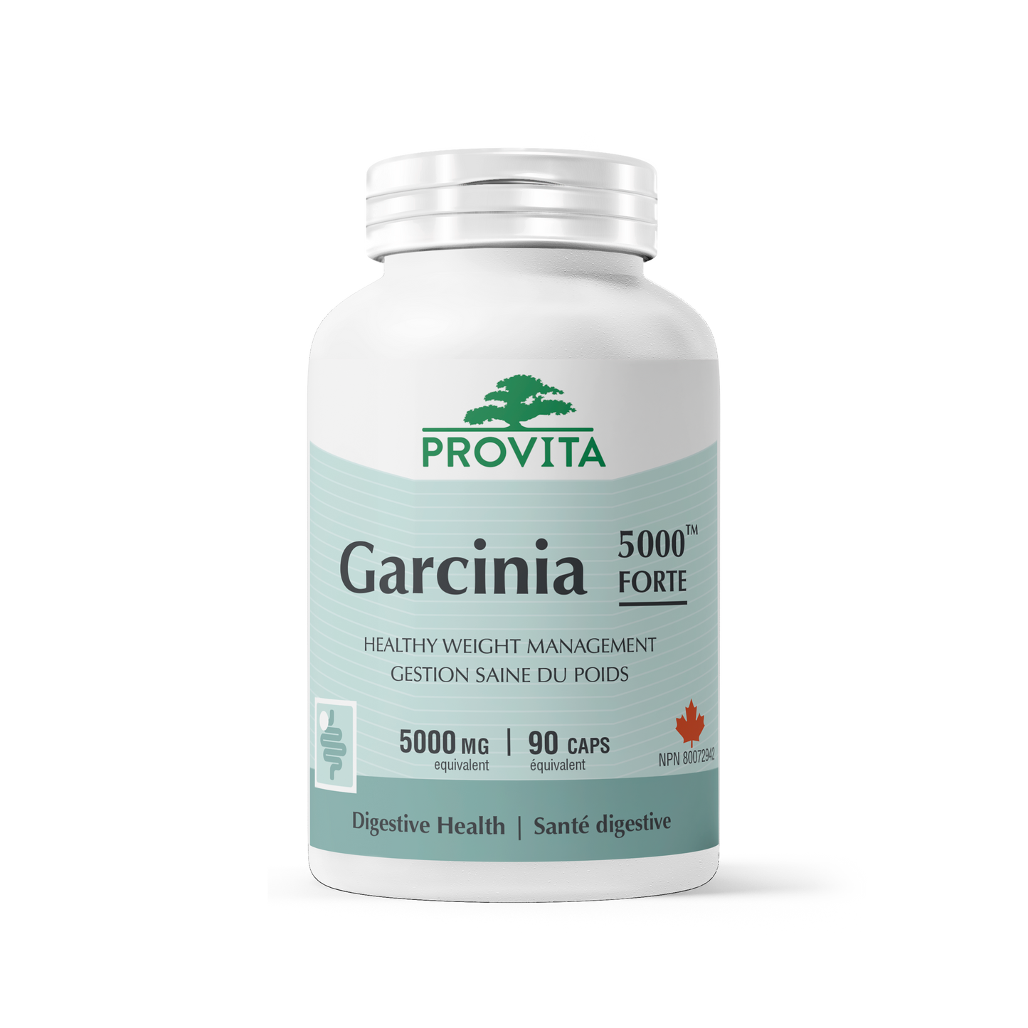 Garcinia 5000 Forte 90 gélules - Provita