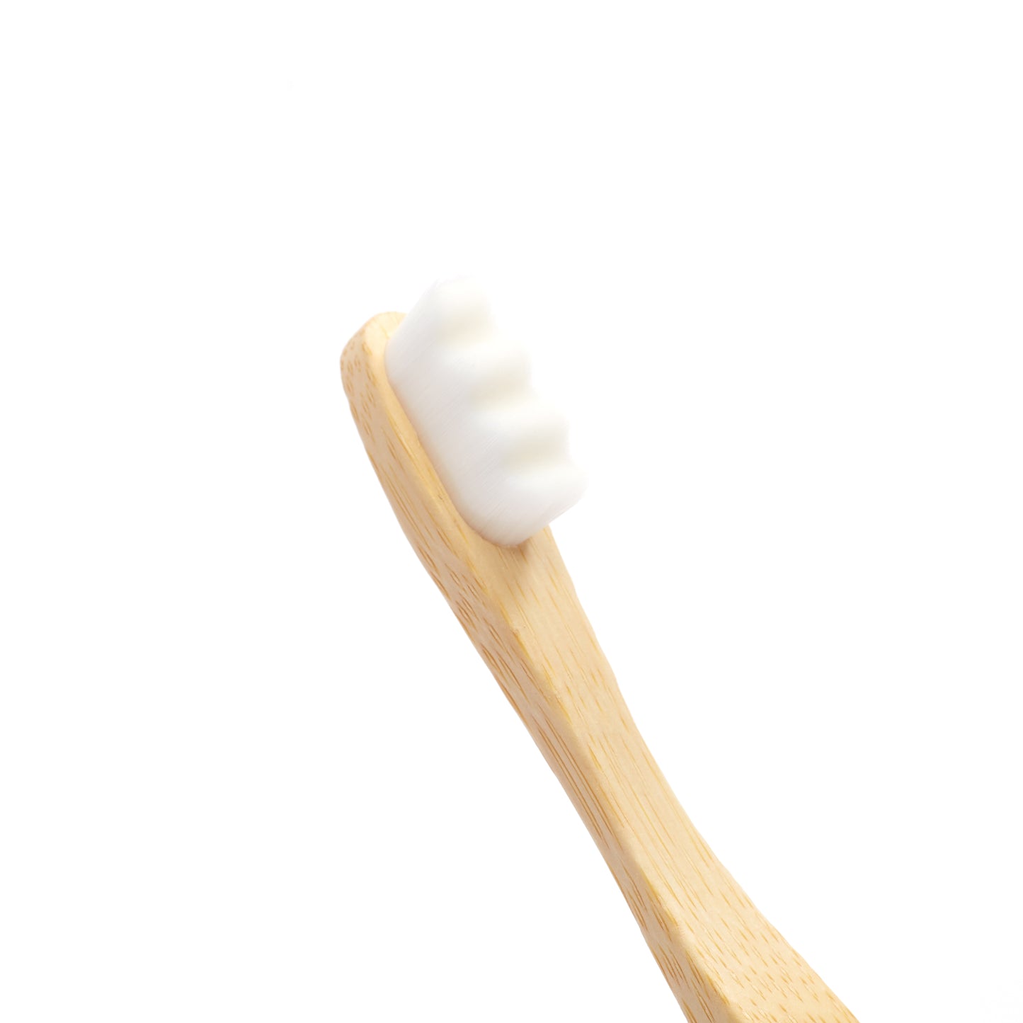 Cloud Brush 6/Box - The Future Is Bamboo