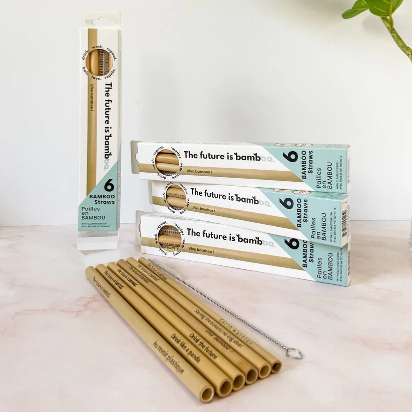 Bamboo Straws 6/Pk - The Future Is Bamboo
