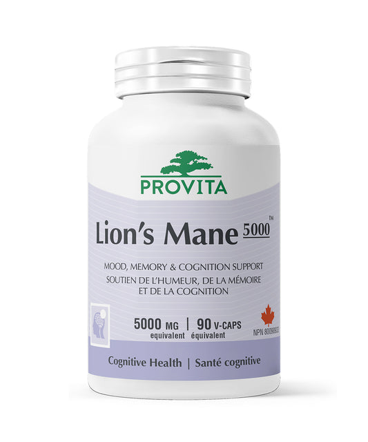 Crinière de Lion 5000 90 gélules - Provita
