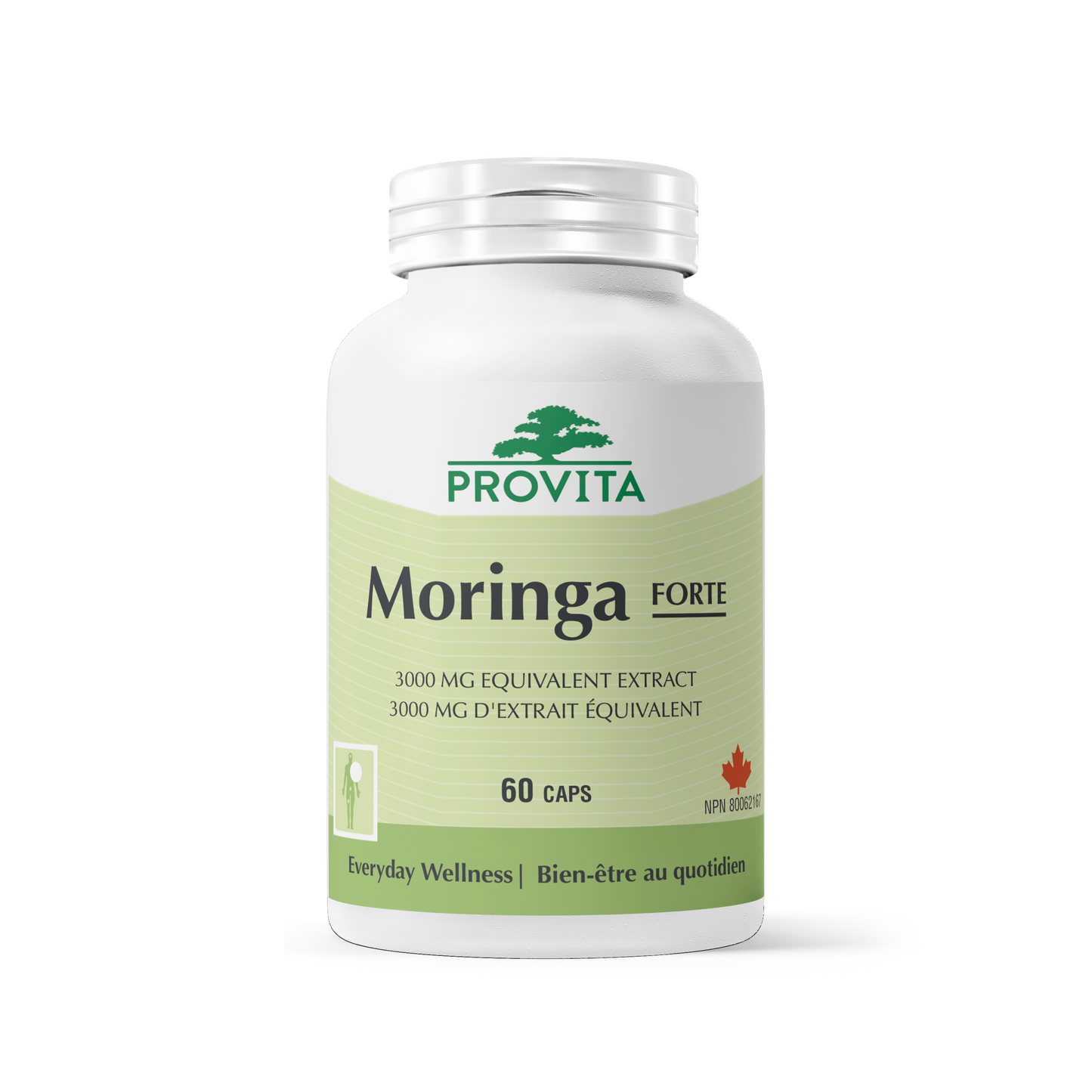 Practitioner Series - Moringa Forte, 60 caps - Provita