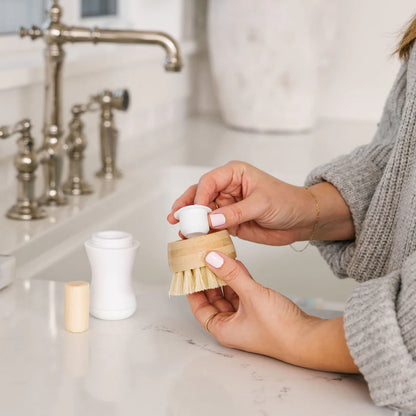 Dish Stick Brush Refill, 5pk - Nellie's